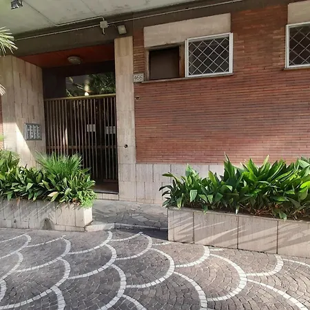 Viva 